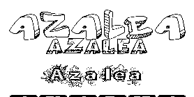 Coloriage Azalea