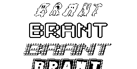 Coloriage Brant