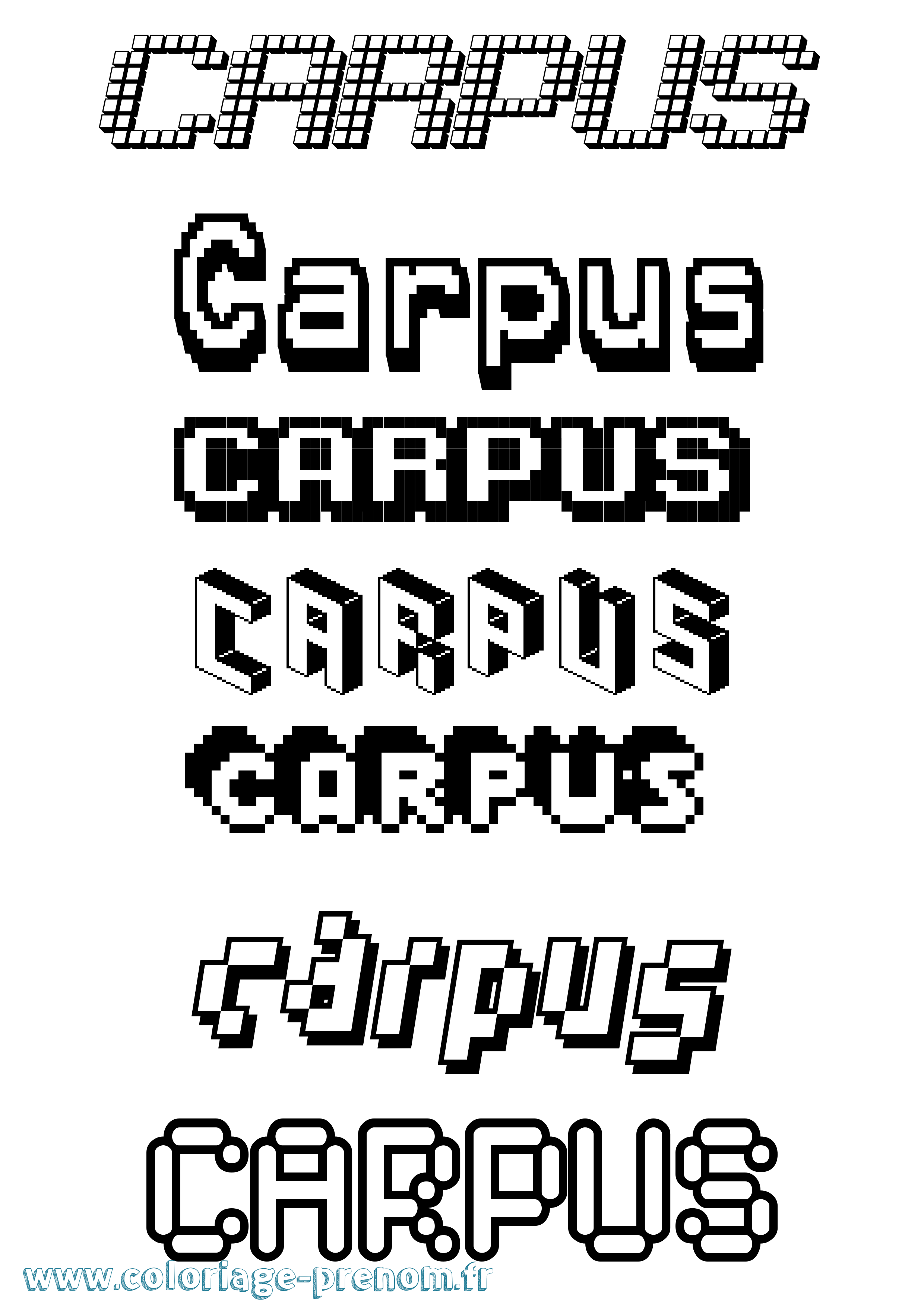 Coloriage prénom Carpus Pixel
