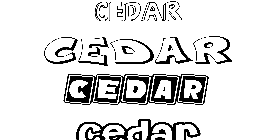 Coloriage Cedar