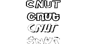 Coloriage Cnut