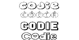 Coloriage Codie