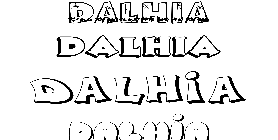 Coloriage Dalhia