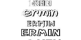 Coloriage Ermin