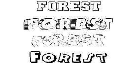 Coloriage Forest