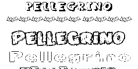 Coloriage Pellegrino