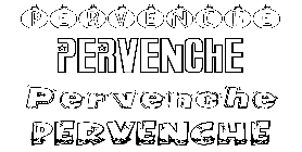 Coloriage Pervenche