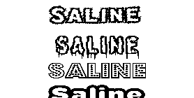 Coloriage Saline