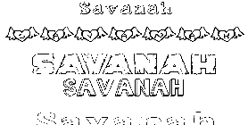Coloriage Savanah