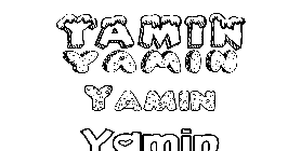 Coloriage Yamin